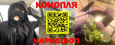 альфа пвп Новокубанск