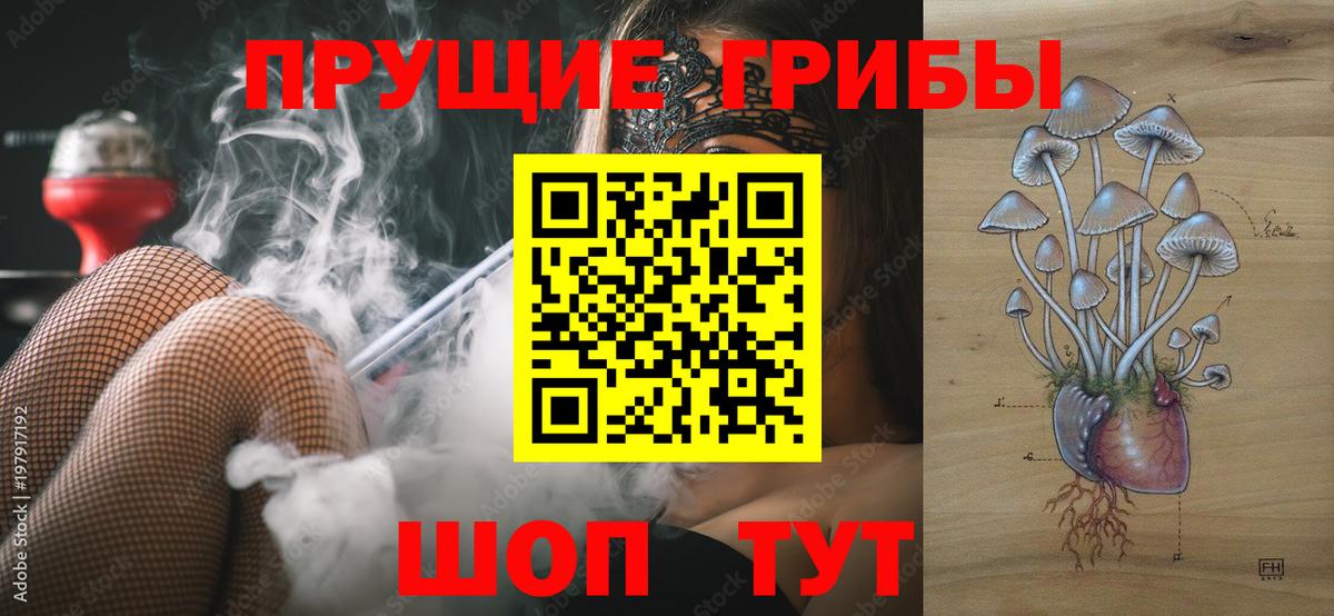 Галлюциногенные грибы Psilocybine cubensis  Вход с VPN  Псилоцибиновые грибы прущие грибы  Феодосия 
